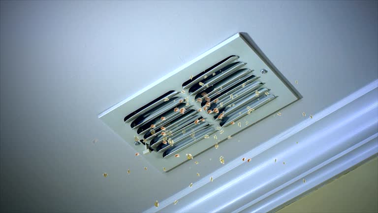 Affordable HVAC Duct Cleaning in AR