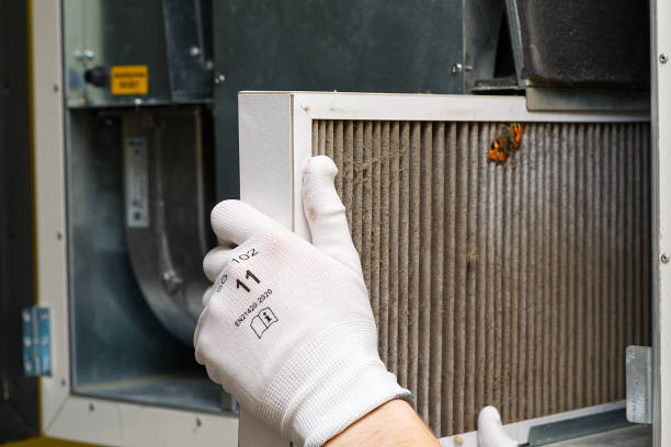 Best Home Air Vent Cleaning  in Gentry, AR