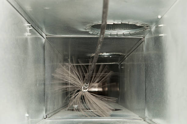 Best Professional Duct Cleaning Services  in Gentry, AR